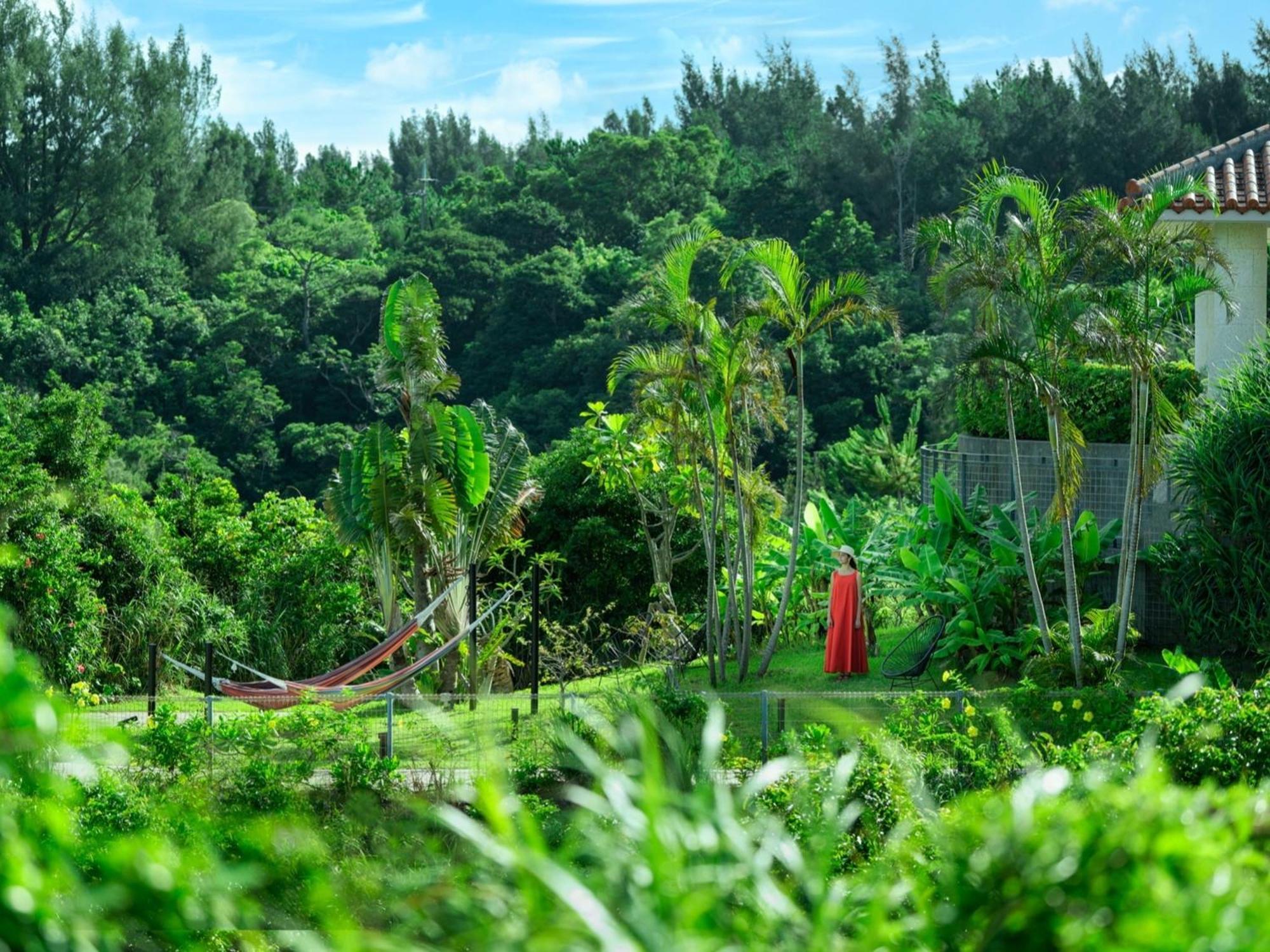 Oriental Hotel Okinawa Resort & Spa Nago Eksteriør billede A view of the forest from the house